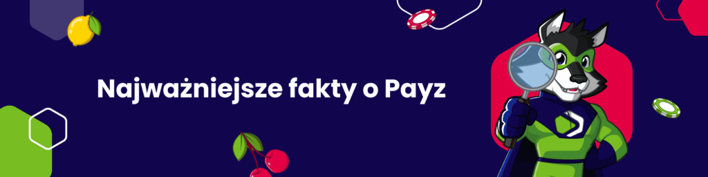 Najważniejsze fakty o Payz