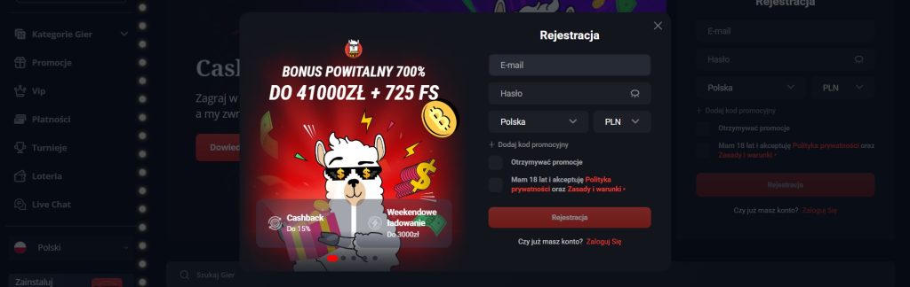 Wprowadź dane logowania