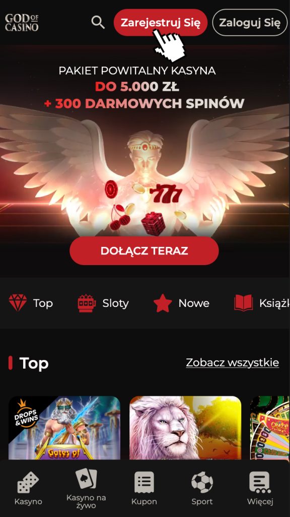 Wprowadź odpowiednie dane