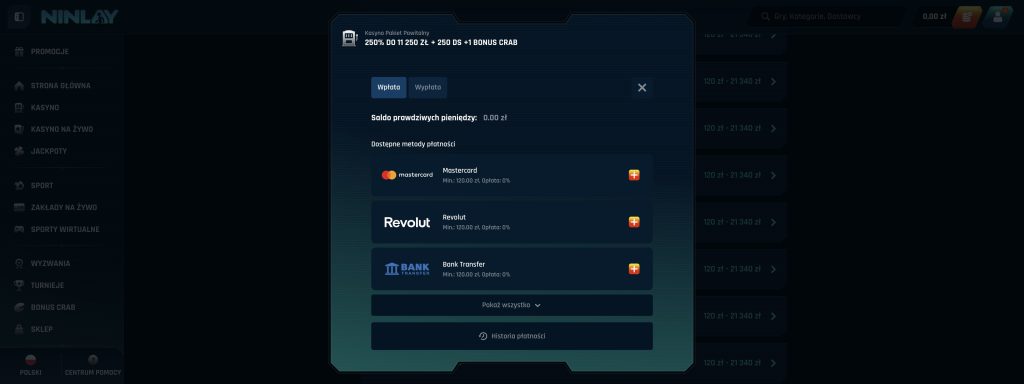 Ninlay Casino - Metody płatności