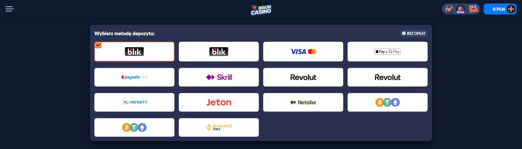 Bison Casino - Metody płatności